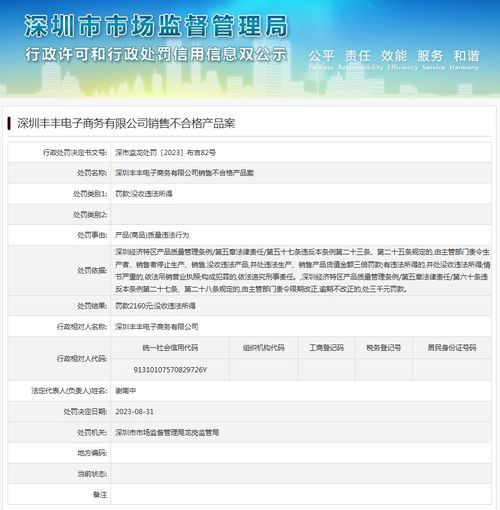 深圳丰丰电子商务销售不合格产品案